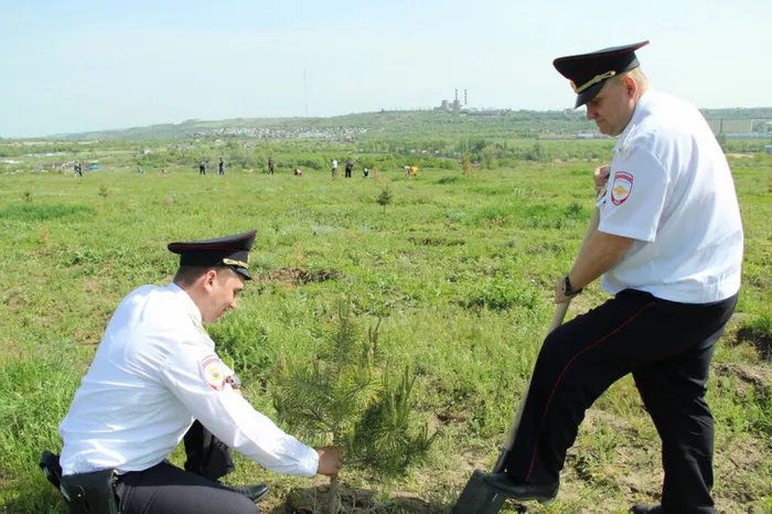 ПОСАДОЧНЫЕ РАБОТЫ В ПАРКЕ.