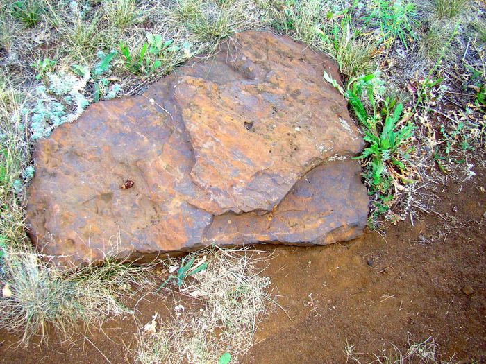 Барремский железистый песчаник (руда)